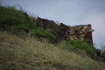  (© Michal Brůža, 05/2011)