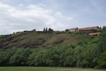  (© Michal Brůža, 05/2011)