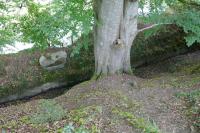 Newcastle Emlyn