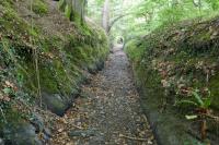 Newcastle Emlyn