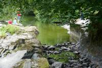 Newcastle Emlyn