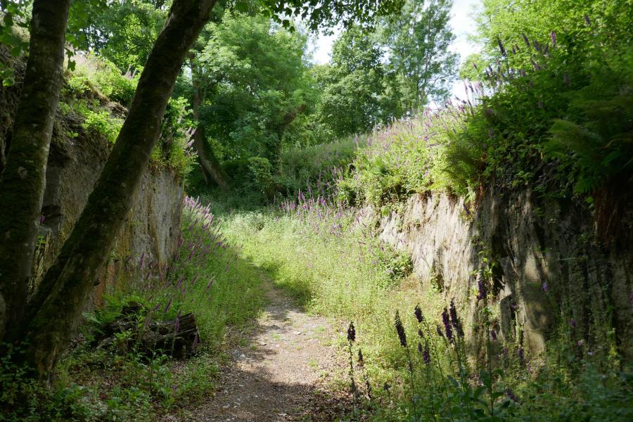 Nevern