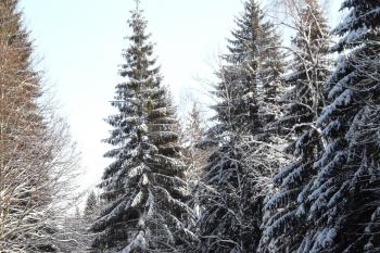 Vchynicko-tetovský plavební kanál (© Tomáš Marek, 01/2012)