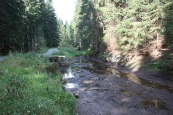 Rozšířené koryto pod Mechovem (Mosau) ( © Ivan Grisa 09/2009)