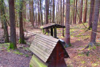 Studánka Pod Dehetníkem (© Boris Jelínek 11/2023)