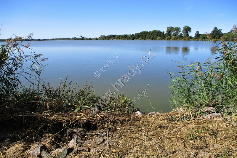 Třesický rybník Třesický rybník