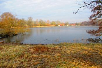 Zámecký rybník (Kopidlno) (© Boris Jelínek 03/2022)