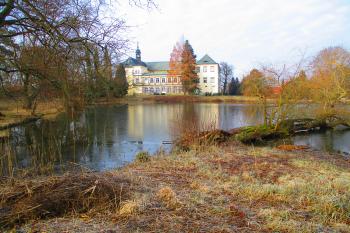 Zámecký rybník (Kopidlno) (© Boris Jelínek 03/2022)