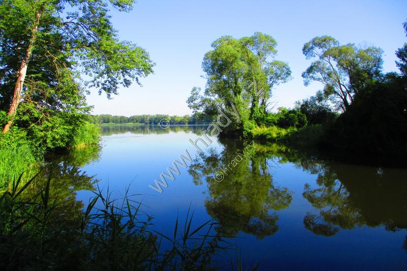 Pohránovský rybník Pohránovský rybník