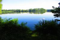 Pohránovský rybník