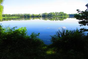 Pohránovský rybník (Pohránov) (© Boris Jelínek 07/2023)