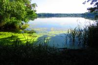 Pohránovský rybník