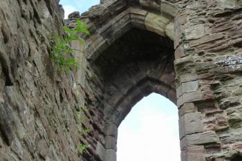  (© Pavel Semple 06/2016)