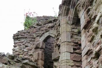  (© Pavel Semple 06/2016)