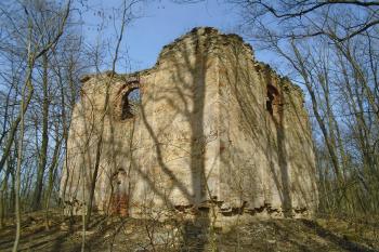 Zřícenina kaple sv. Vavřince (Cerekvice nad Bystřicí) (© Boris Jelínek 03/2019)