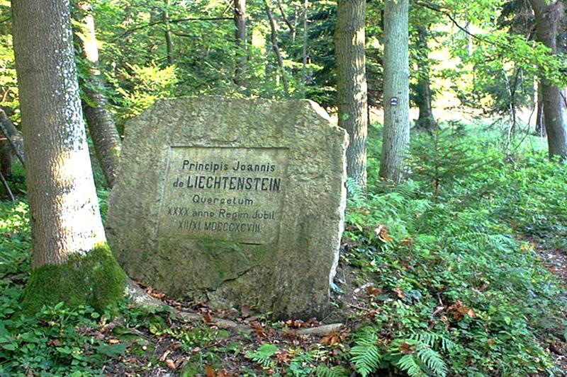 Lichtenštejnský kámen Lichtenštejnský kámen