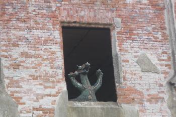 rudolecký drak (© Jaroslav Špiroch, 05/2017)