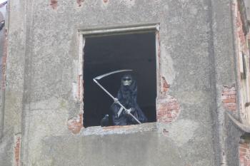 rudolecký smrťák (© Jaroslav Špiroch, 05/2017)