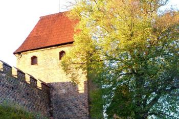  ( © František Kinař 05/2017)