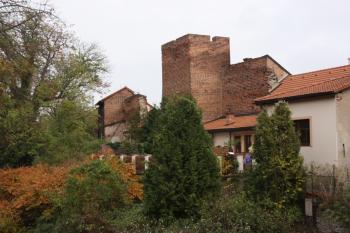 Bašta u Hradební ulice od příkopu ( © Ivan Grisa 11/2009)