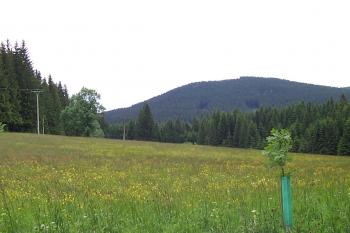 Zámecký vrch s hradem Koberštejnem od Starého Rejvízu ( © Ivo Rozehnal 06/2015)