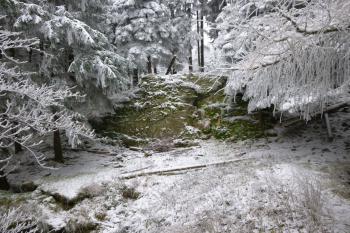 zříceniny hradu Koberštejn (© Vlastislav Mareček, 11/2016)