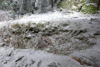 zříceniny hradu Koberštejn (© Vlastislav Mareček, 11/2016)