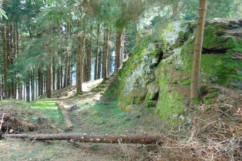Záp. část skály s hradním palácem (© Dušan Dohňanský  04/2023)