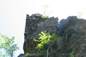 Kobrštejn - střep věže (2003 ©Puffin Puffin)