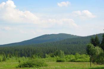 Kobrštejn - hradní kopec (2003 ©Puffin Puffin)