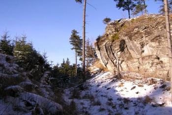 Pohled z východní části čelního šíjového příkopu (© Jan P. Štěpánek, 12/2006)