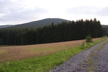 Nepopsatelná nádhera (© Jan Laurin, 07/2007)