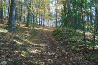 Chřesťovice