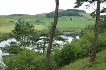  (© Pavel Semple 08/2011)