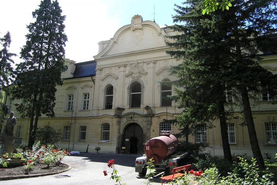 Vraný