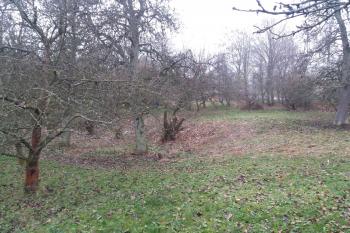 Vlastibořice-tvrziště (© roman roman  11/2020)