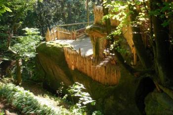 Staráky - palisády (© Jan Novák, 11/2006)