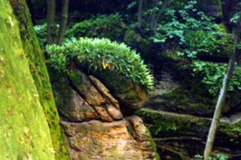 Staráky - skalní výběžek u světniček (© Pavel Jarý,  30.08.2002)