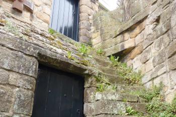  (© Pavel Semple 08/2011)