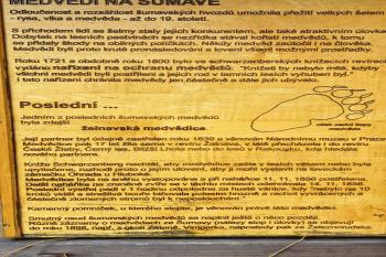 informační panel u památníku (pomníku) zastřelení posledního šumavského medvěda (ice). (© Zdeněk Peltan  03/2024)