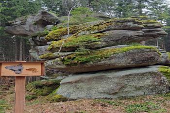 Skalní útvar - hlava telete. (© Zdeněk Peltan  03/2024)