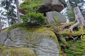 Skalní útvar - hřib. (© Zdeněk Peltan  03/2024)