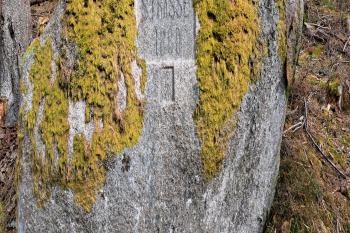 Medvědí cesta - 1880. (© Zdeněk Peltan  03/2024)