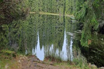 Jelení jezírko. (© Zdeněk Peltan  03/2024)