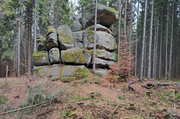  (© Zdeněk Peltan  03/2024)