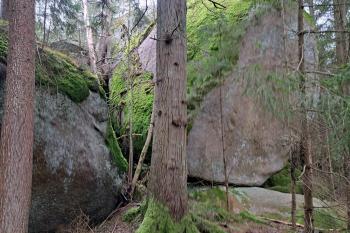  (© Zdeněk Peltan  03/2024)