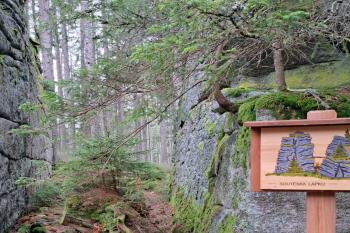 Skalní útvar - soutěska lapků. (© Zdeněk Peltan  03/2024)