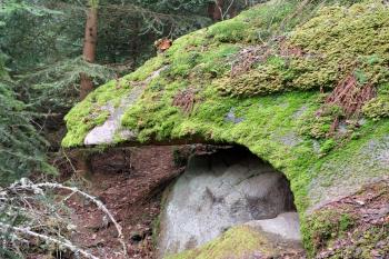 Skalní útvar - dračí tlama. (© Zdeněk Peltan  03/2024)