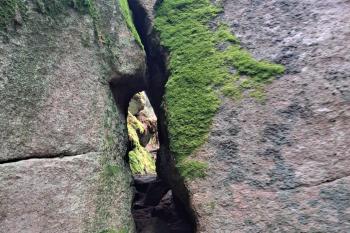  (© Zdeněk Peltan  03/2024)