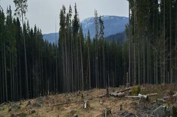 výhled ze stezky (© Zdeněk Peltan  03/2024)